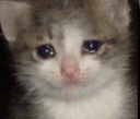 IMG_7863 Discord emoji