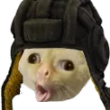 Gotvald