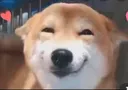 doggosmile