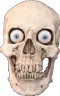 skul
