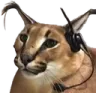 gamer