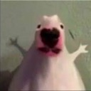 weeeeee Discord emoji