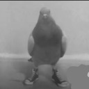 drippypigeon Discord emoji