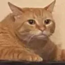 bruh