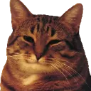catsmile
