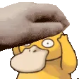 PETTHEDUCK