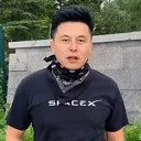 Musk Musk