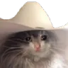 sadcowboycat sadcowboycat