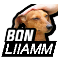 bonliiamm