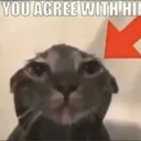 thecat