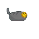 pufferchonk pufferchonk