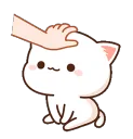 EB_kittypat