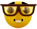 nerdface nerdface