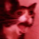 Madcat MadCat Discord Emoji