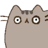 :pusheen_shocked: