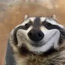 Vz_raccon_evil