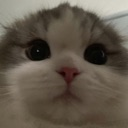neeey Discord emoji