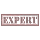 9_2VERIFYEXPERT Discord emoji
