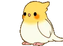 birbthank