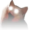 CatGod Discord Emoji