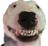 WalterSmiling Discord emoji