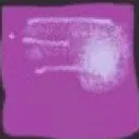 ebay_nitro