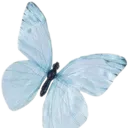 Bluebutterfly BlueButterfly Discord Emoji