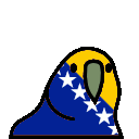bosniaandherzegovinaParrot