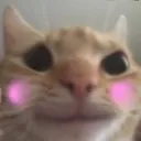 GW_gatouwu
