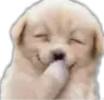 worldsdoghehe Discord Emoji