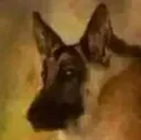 Faxy
