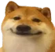 dog_smile dog_smile