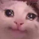 sadCat Discord Emoji