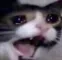 aaaaaa