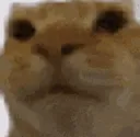 emoji_16 emoji_16