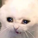 emoji_25