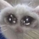 emoji_27