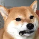 crinj