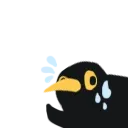 birdpanic
