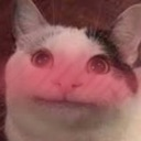 blush Discord emoji