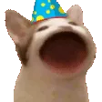 birthdayPop