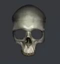 skull skull