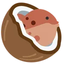 coconut_blowfish coconut_blowfish