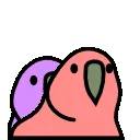 BDH_twinbirbs