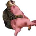NOO