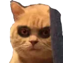 cho