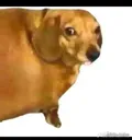 emoji_18