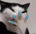 pmmmaterialcat Discord Emoji