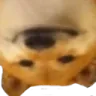 ElloUpsideDown