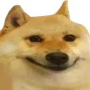 dogsmile